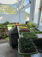 Load image into Gallery viewer, Fazenda Granja Experience
