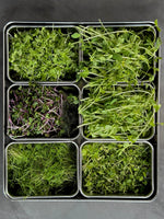 Load image into Gallery viewer, Brunch by Fazenda
