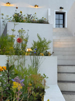 Load image into Gallery viewer, Fazenda Granja Experience
