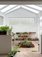 Load image into Gallery viewer, Cooking Experience
