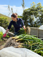 Load image into Gallery viewer, Cooking Experience
